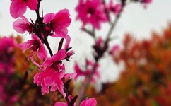 最爽乱子小说合集